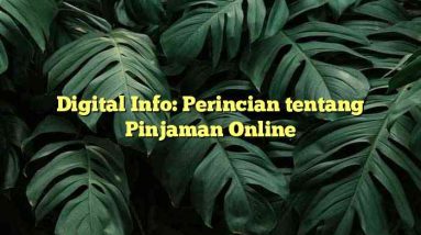 Digital Info: Perincian tentang Pinjaman Online