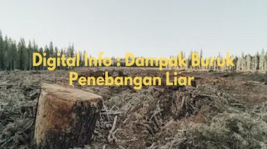 dampak buruk penebangan liar bagi kehidupan