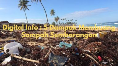 dampak membuang sampah sembarangan